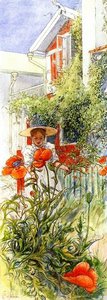 Poppy — Carl Larsson