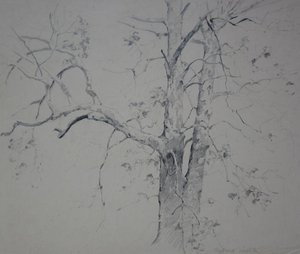 Sycamores — Alfred Heber Hutty