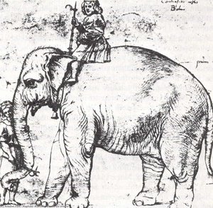 Hanno, The Pope’s Leo X Elephant — Raphael