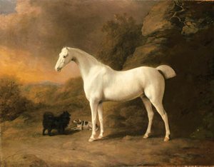 A Grey Pony, With A Pomeranian And A Hound, In A Rocky Wooded Landscape — Sawrey Gilpin