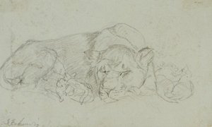 A Lioness At The Old Exeter Change — John Frederick Lewis