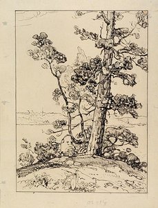 Pine — Arthur Lismer