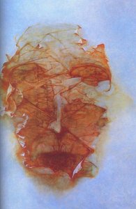 Untitled (187) — Zdislav Beksinski