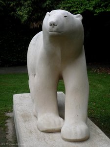 De ijsbeer (3)