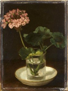 Géranium Rose Dans Un Verre — Magnin Jeanne