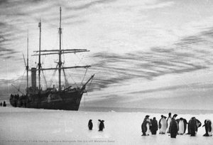 Aurora Alongside The Ice Off Western Base — Frank Hurley