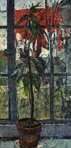 Tall Plant — Jerry Hicks