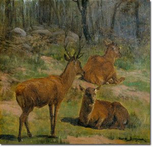Deer At Fountainebleau — Rosa Bonheur