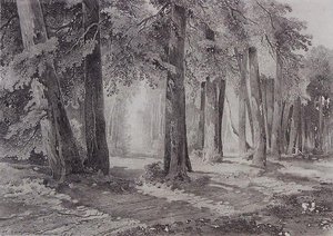 In The Park — Aleksey Savrasov