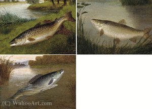 A Grayling; A Chub; And A Lea Trout From The Pied Bull Stream, St. Nugent, Hertfordshire — A. Roland Knight