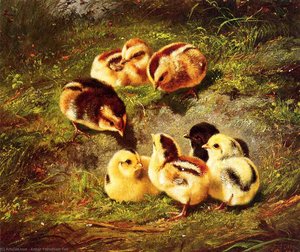 Chickens — Arthur Fitzwilliam Tait