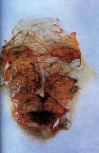Untitled (21) — Zdislav Beksinski
