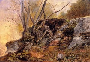Study From Nature, Rocks And Trees — Asher Brown Durand