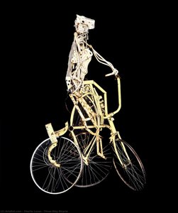 Three-way Bicycle — Charlie Lucas