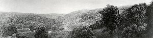 Hawley Valley, (painting) — Ralph Albert Blakelock