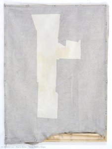 Poorly Masked Shape — Sharon Butler