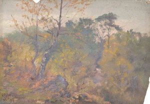 Croham Hurst, Croydon, Surrey, November 1897 — William Henry Hope