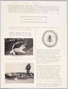 Goop Joe's Poultry Sheet 10 — Joseph Cornell