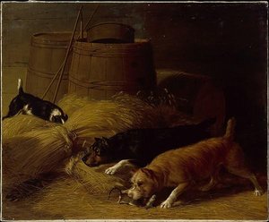 Rats Amongst The Barley Sheaves — Thomas Hewes Hinckley