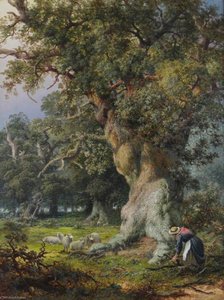 Woman Gathering Wood