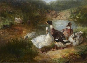 Ducks — George Arthur Hickin