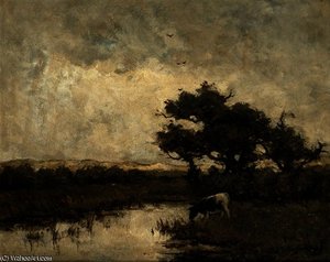A cow in the dunes