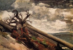 Burnt Mountain — Winslow Homer