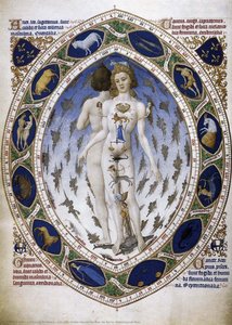 Les très riches heures du Duc de Berry: Astrological Man