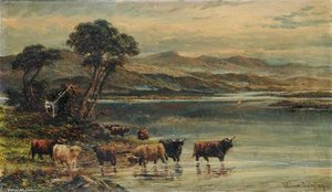Highland Cows On The Edge Of A Loch