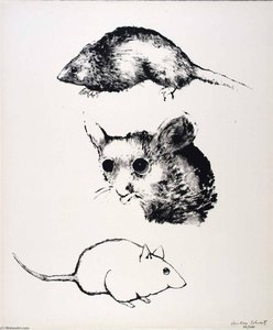 (a Bestiary, Portfolio) Mice — Aubrey Schwartz