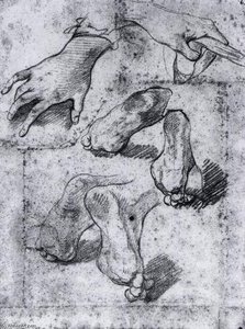 Studies of Hands and Feet