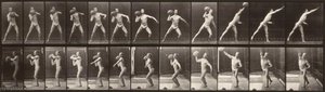 Animal Locomotion (plate 319) (man Throwing A Ball) — Eadweard J Muybridge