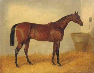 Merry Monarch, A Bay Mare, In A Stable — John Frederick Herring Senior, Realism