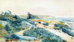 Prout's Neck — Winslow Homer