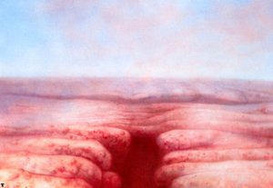 Hr Giger Landscape Ii — H.r. Giger