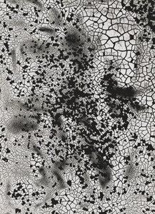 Untitled — Bronislaw Schlabs