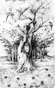 The Hearing Forest And The Seeing Field — Hieronymus Bosch