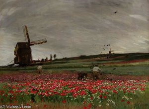 Poppy field