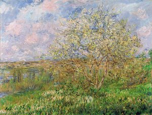 Meadow — Claude Monet