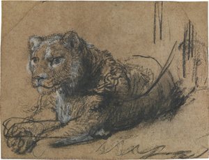 Young Lion Resting — Rembrandt Van Rijn