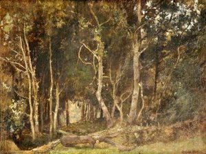 Entrance To Egdean Wood, West Sussex — Oliver Hall