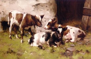 First Steps — David Gauld