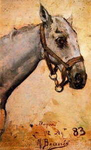 Study Of A Horse — Mariano Barbasan