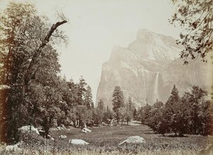 Untitled (aqtdjp) — Carleton Watkins