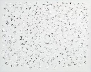 Ivy Tentacles On Glass, Chicago — Harry Callahan