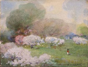 Cherry Blossoms — William Henry Holmes