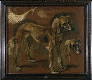 UN CHIEN DE BARBARIE