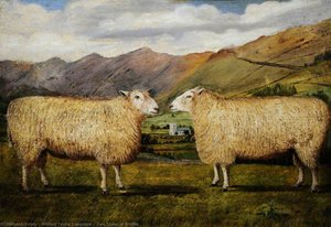 Two Sheep In Profile — William Taylor Longmire