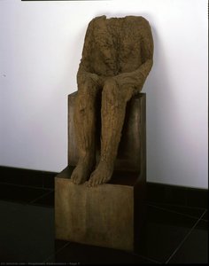 Sage Y — Magdalena Abakanowicz