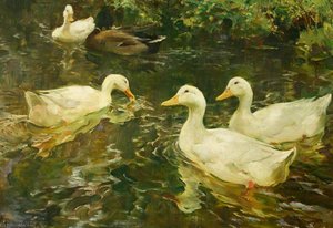 Ducks On The Water Study For 'the Stream At Clapper Mill, Lamorna' — Charles Walter Simpson